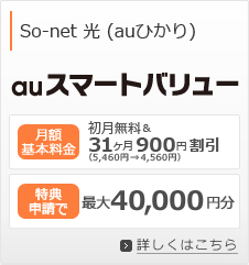 So-net 光 with （auひかり）