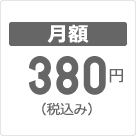 月額380円（税込み）