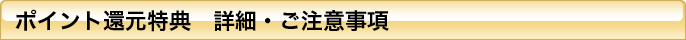 特典2詳細
