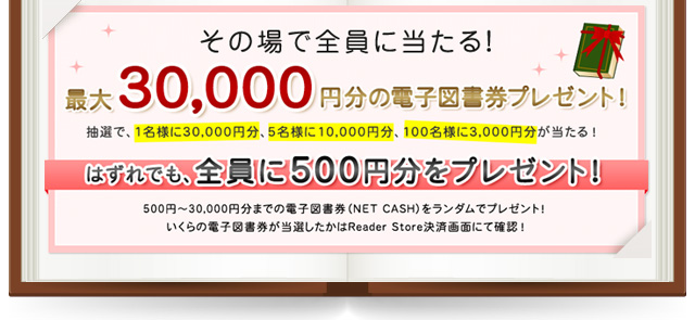 ���̏�őS���ɓ�����I�ő�30,000�~���̓d�q�}�����v���[���g�I