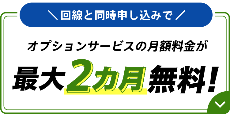 回線と同時申し込みでオプションサービスの月額料金が最大6カ月無料！