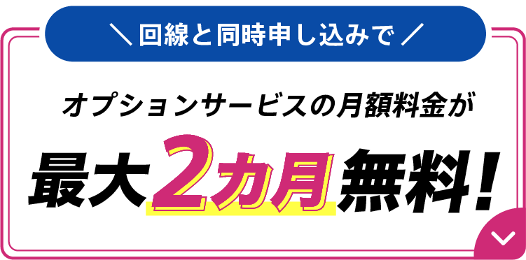 回線と同時申し込みでオプションサービスの月額料金が最大2カ月無料