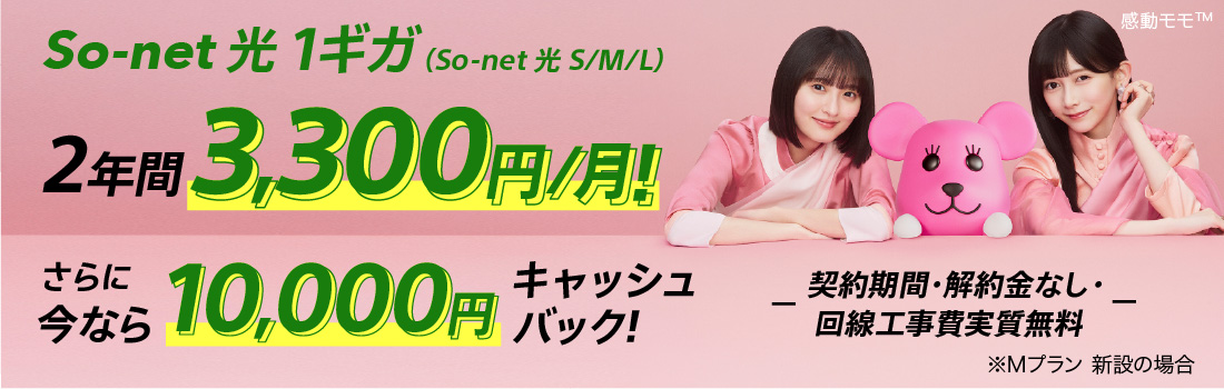 ソネット 光 1ギガ （ソネット 光 S/M/L）2年間3,300円/月 さらに今なら10,000円キャッシュバック 契約期間・解約金なし・回線工事費実質無料 ※Mプラン 新設の場合