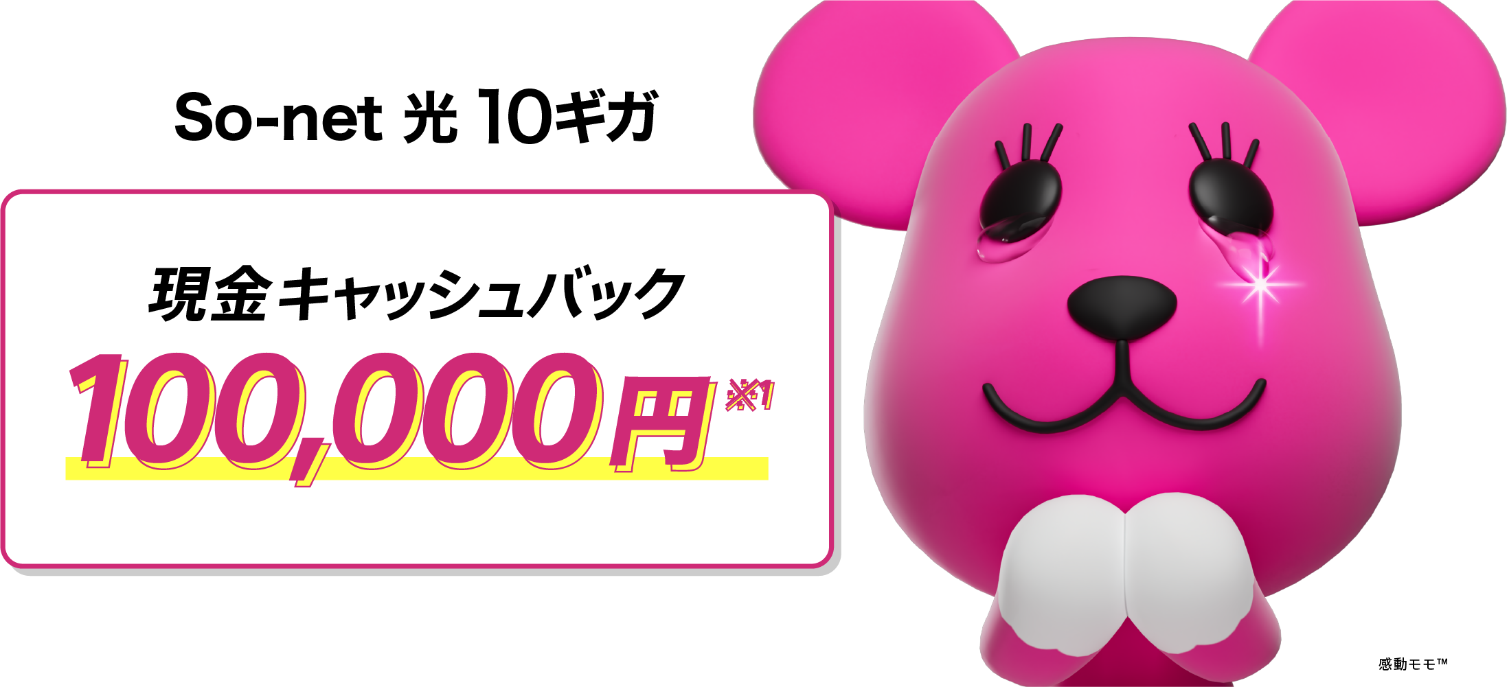 ソネット 光 10ギガ 現金キャッシュバック 100,000円※1