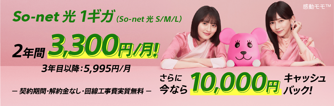 ソネット 光 1ギガ （ソネット 光 S/M/L）2年間3,300円/月 3年目以降5,995円/月 さらに今なら10,000円キャッシュバック 契約期間・解約金なし・回線工事費実質無料