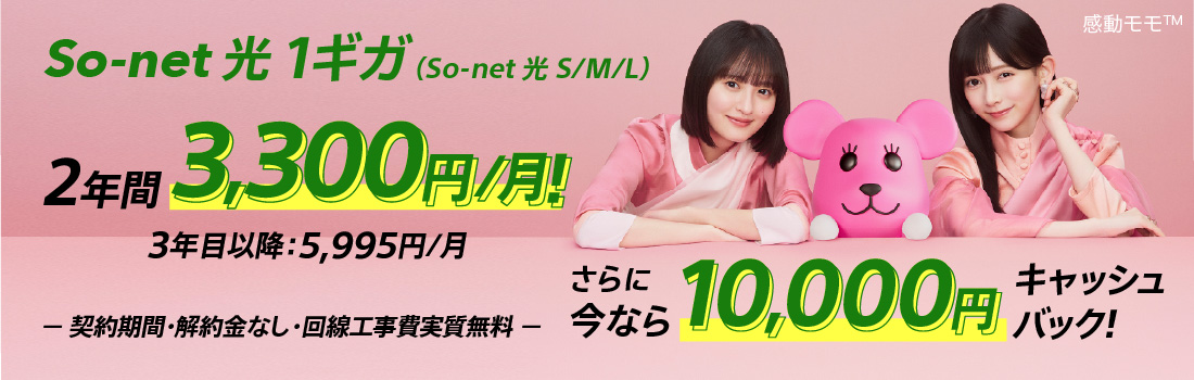 ソネット 光 1ギガ （ソネット 光 S/M/L）2年間3,300円/月 3年目以降5,995円/月 さらに今なら10,000円キャッシュバック 契約期間・解約金なし・回線工事費実質無料