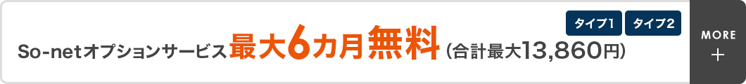 タイプ1・タイプ2　So-netオプションサービス最大6カ月無料（合計最大13,860円）