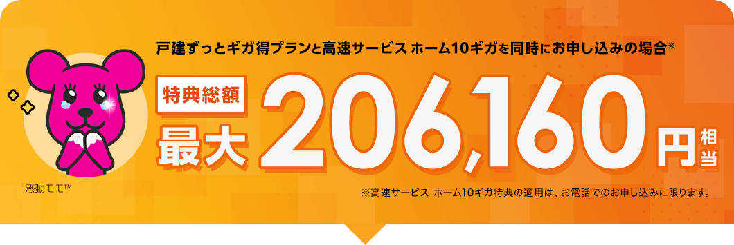 戸建ずっとギガ得プランと高速サービス ホーム10ギガを同時にお申し込みの場合※ 特典総額最大206,160円相当 ※高速サービス ホーム10ギガ特典の適用は、お電話でのお申し込みに限ります。