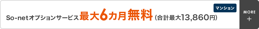 So-netオプションサービス最大6カ月無料（合計最大13,860円）　マンション