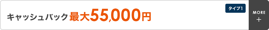 キャッシュバック最大55,000円　戸建／マンション