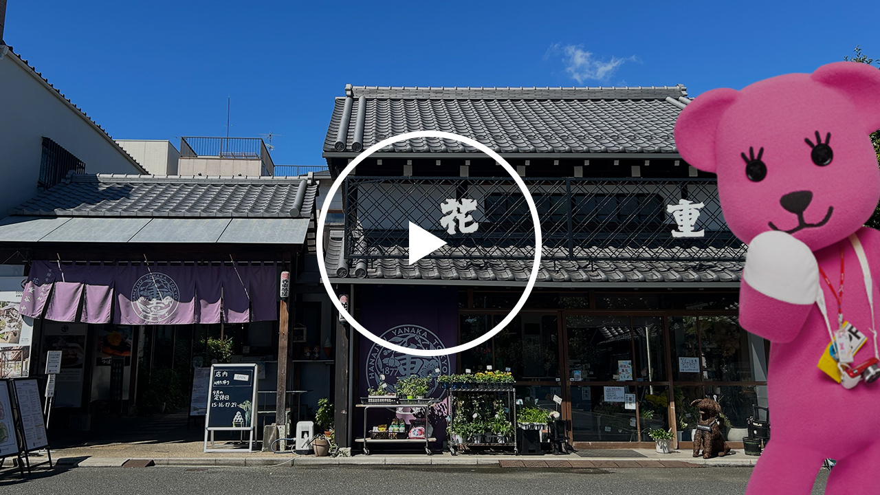 おでかけレポート 古民家カフェ