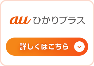 auひかりプラス 超高速ネット