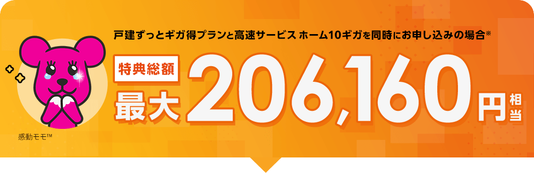 戸建ずっとギガ得プランと高速サービス ホーム10ギガを同時にお申し込みの場合　特典総額最大206,160円相当