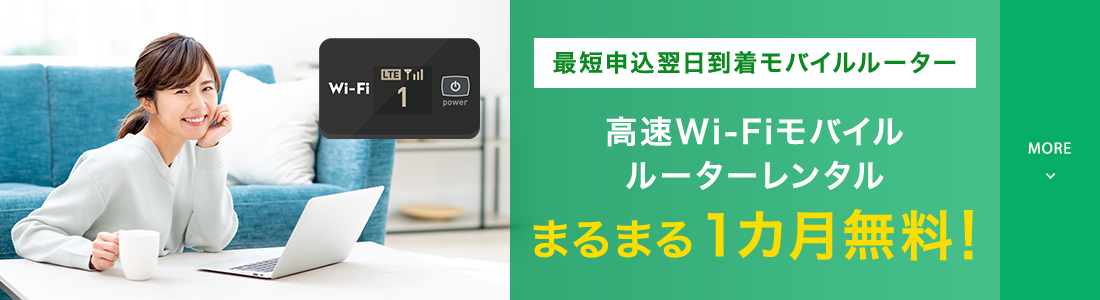 開通までネットが使えるWi-Fiレンタル初月0円～32日目以降もおトク