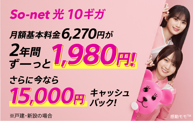 So-net 光 10ギガ 月額基本料金6,270円が2年間ずーっと1,980円 さらに今なら15,000円キャッシュバック ※戸建・新設の場合