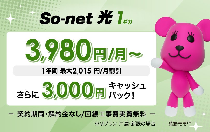 ソネット 光 1ギガ 3,980円/月～ 1年間 最大2,015円/月割引 さらに​3,000円キャッシュバック 契約期間・解約金なし/回線工事費実質無料 ※Mプラン  戸建・新設の​場合