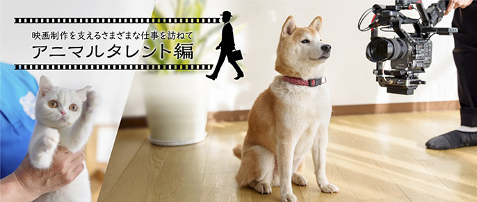 映画を名作にする“アニマルタレント”の世界。アニマルトレーナー・北村まゆみさんにインタビュー