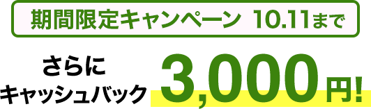 期間限定キャンペーン10/11まで​ さらに​キャッシュバック3,000円
