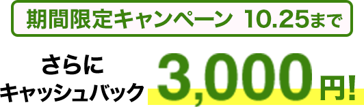 期間限定キャンペーン10/25まで​ さらに​キャッシュバック3,000円