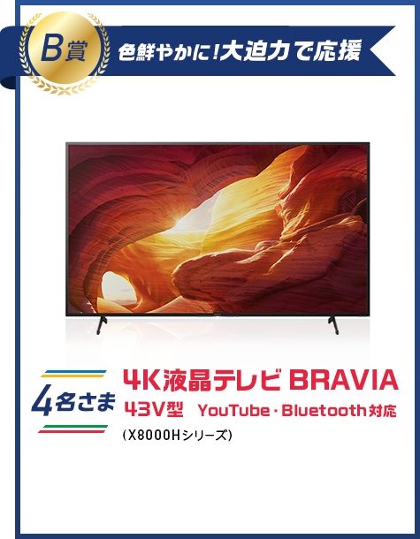 B賞 ⾊鮮やかに!⼤迫⼒で応援 4名さま 4K液晶テレビ BRAVIA 43V型 YouTube・Bluetooth対応(X8000Hシリーズ）