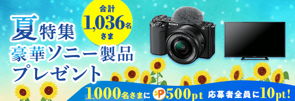 キャンペーンinfo