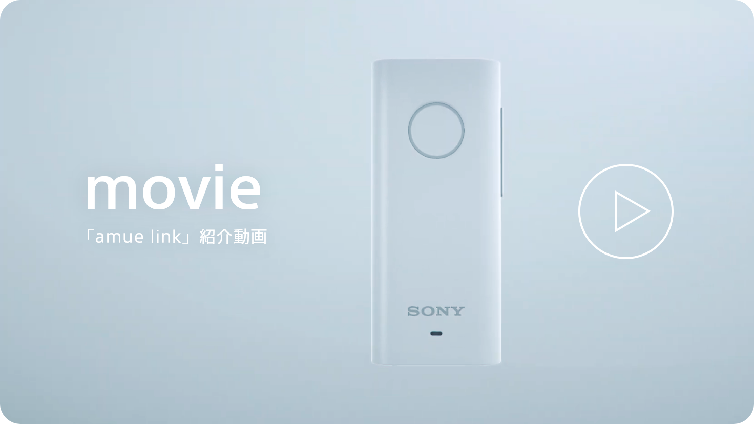 画像拡大後、動画再生画面になります。