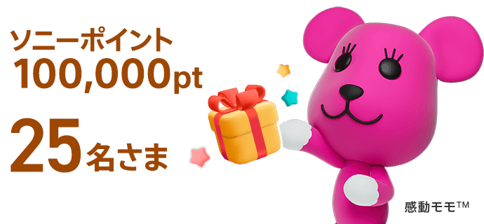 ソニーポイント100,000pt 合計25名さま