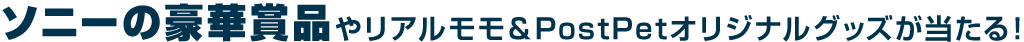 ソニーの豪華賞品やリアルモモ&PostPetオリジナルグッズが当たる!