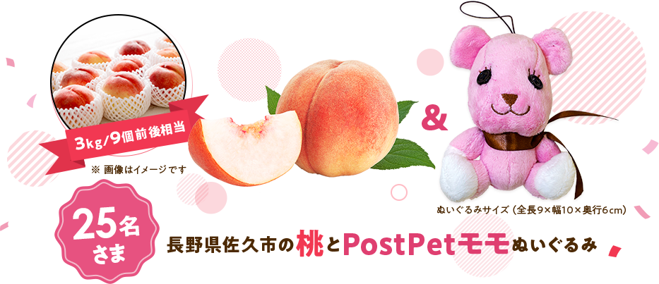 長野県佐久市の桃とPostPetモモぬいぐるみ 25名さま 桃は3kg/9個前後相当 ぬいぐるみサイズは全長9cm × 幅10cm 奥行6cm