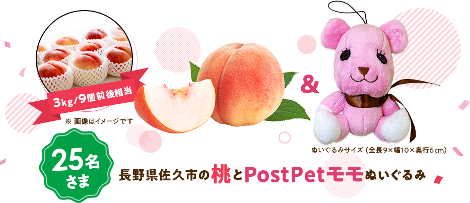 長野県佐久市の桃とPostPetモモぬいぐるみ 25名さま 桃は3kg/9個前後相当 ぬいぐるみサイズは全長9cm × 幅10cm 奥行6cm