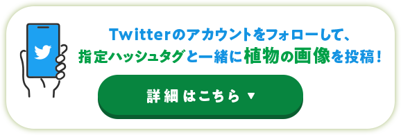 Twitterのアカウントをフォローして、指定ハッシュタグと一緒に植物の画像を投稿！詳細はこちら