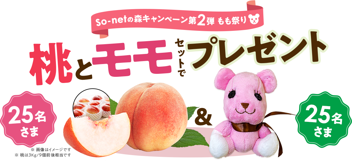 So-netの森キャンペーン第2弾 もも祭り 桃とモモ セットでプレゼント 各25名さま ※桃は3kg/9個前後相当です。