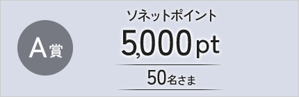 A賞 ソネットポイント 5,000pt 50名さま