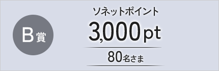 B賞 ソネットポイント 3,000pt 80名さま
