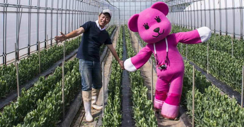 長野県佐久地域の花卉農家見学と苔玉作り。CSR活動レポート【後編】