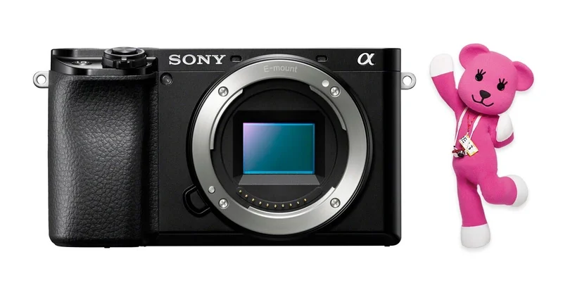多彩なラインナップのSONYデジタル一眼カメラ「α」どんな基準で選ぶ？