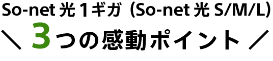 So-net光 1ギガ(So-net 光 S/M/L)3つの感動ポイント
