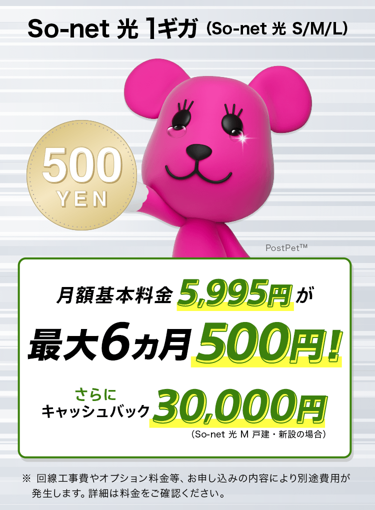 So-net 光 1ギガ(So-net 光 S/M/L)月額基本料金5,995円が 最大6カ月500円 さらにキャッシュバック30,000円! (So-net 光 M 戸建・新設の場合) ※回線工事費やオプション料金等、お申し込みの内容により別途消費税が発生します。詳細は料金をご確認ください。