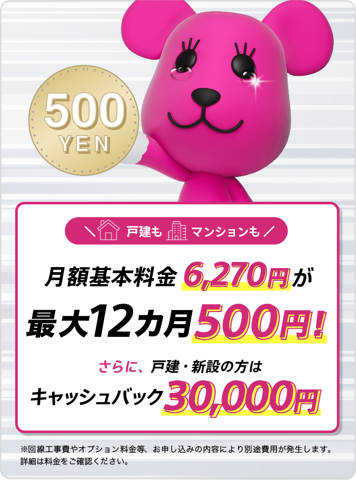 月額基本料金 6,270円が最大12カ月500円 さらに戸建・新設の方はキャッシュバック30,000円!※回線工事費やオプション料金等、お申し込みの内容により別途消費税が発生します。詳細は料金をご確認ください。