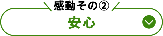 感動その②安心