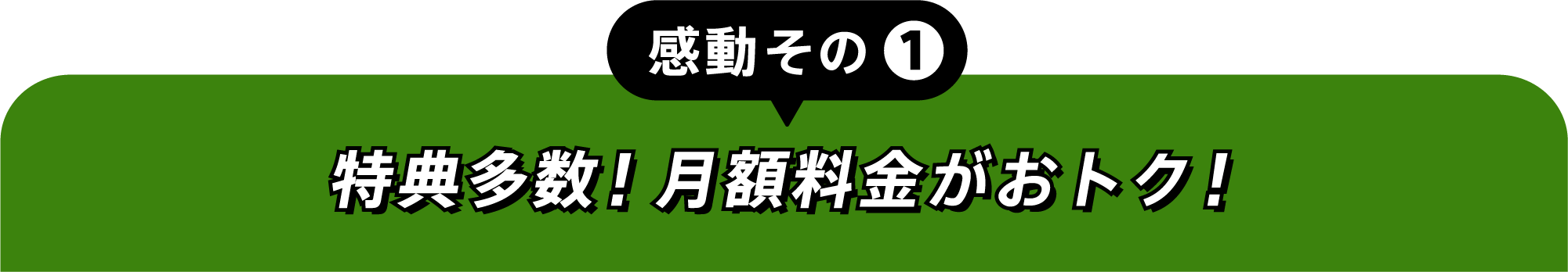 感動その①特典多数!月額料金がおトク!