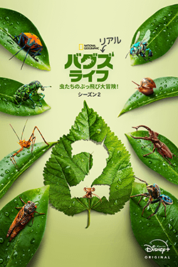 リアル・バグズ・ライフ:虫たちのぶっ飛び大冒険!